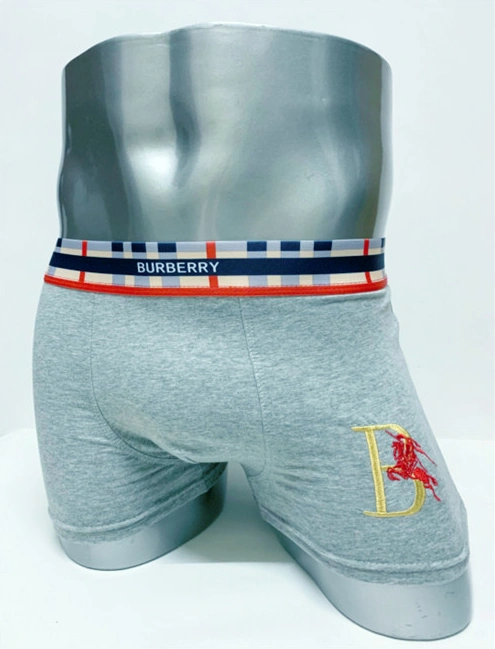 Burberry Underwears For Men Fashionable 1624