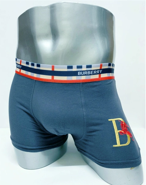 Burberry Underwears For Men GoAnywhere 8135
