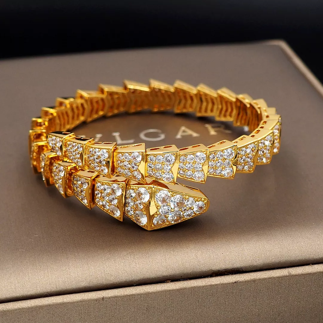 Bvlgari Bracelets DailyWear 3393