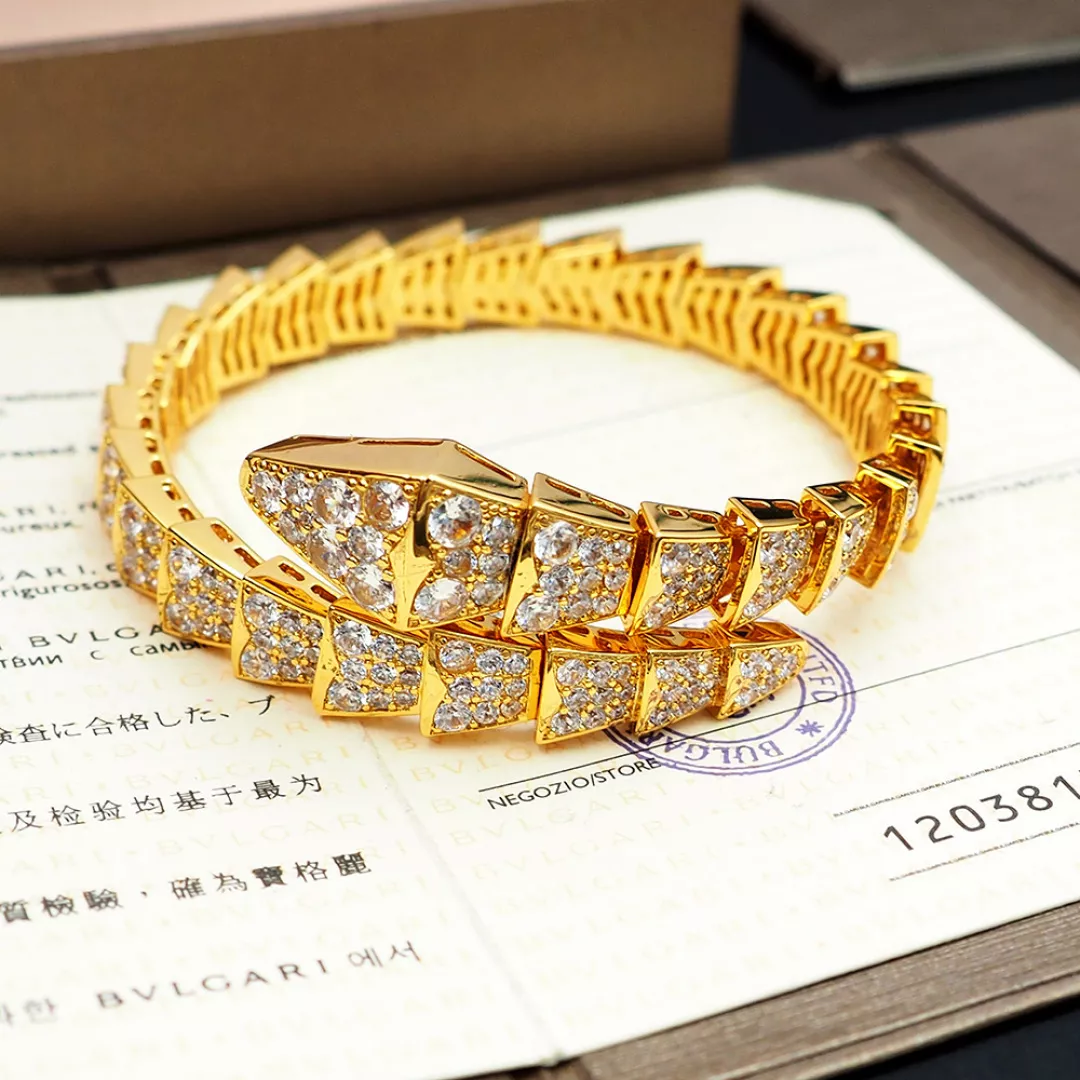 Bvlgari Bracelets DailyWear 3393