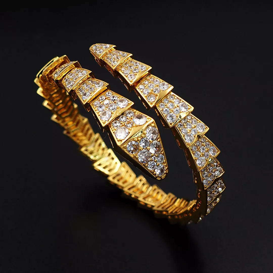 Bvlgari Bracelets DailyWear 3393