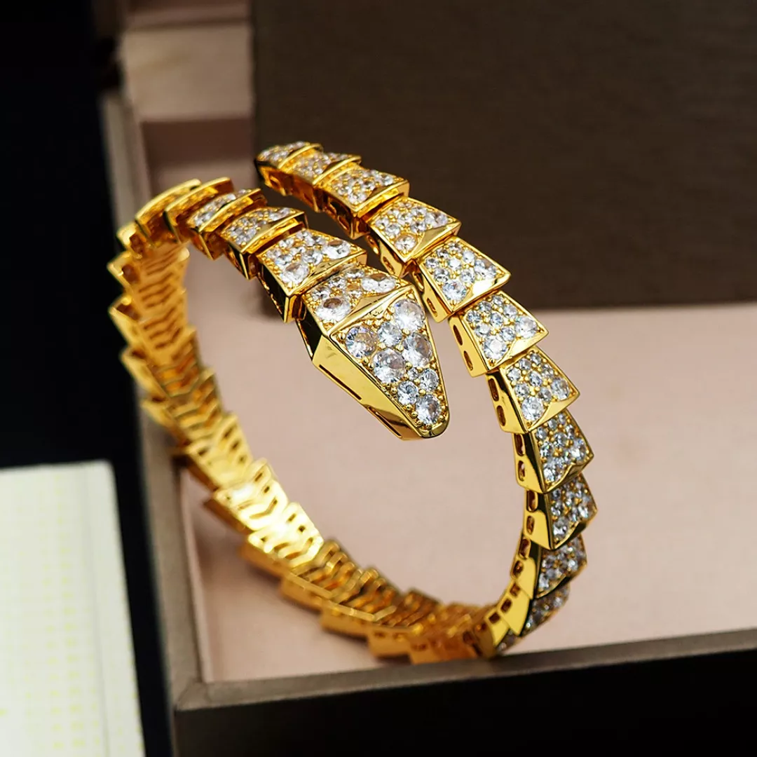 Bvlgari Bracelets DailyWear 3393