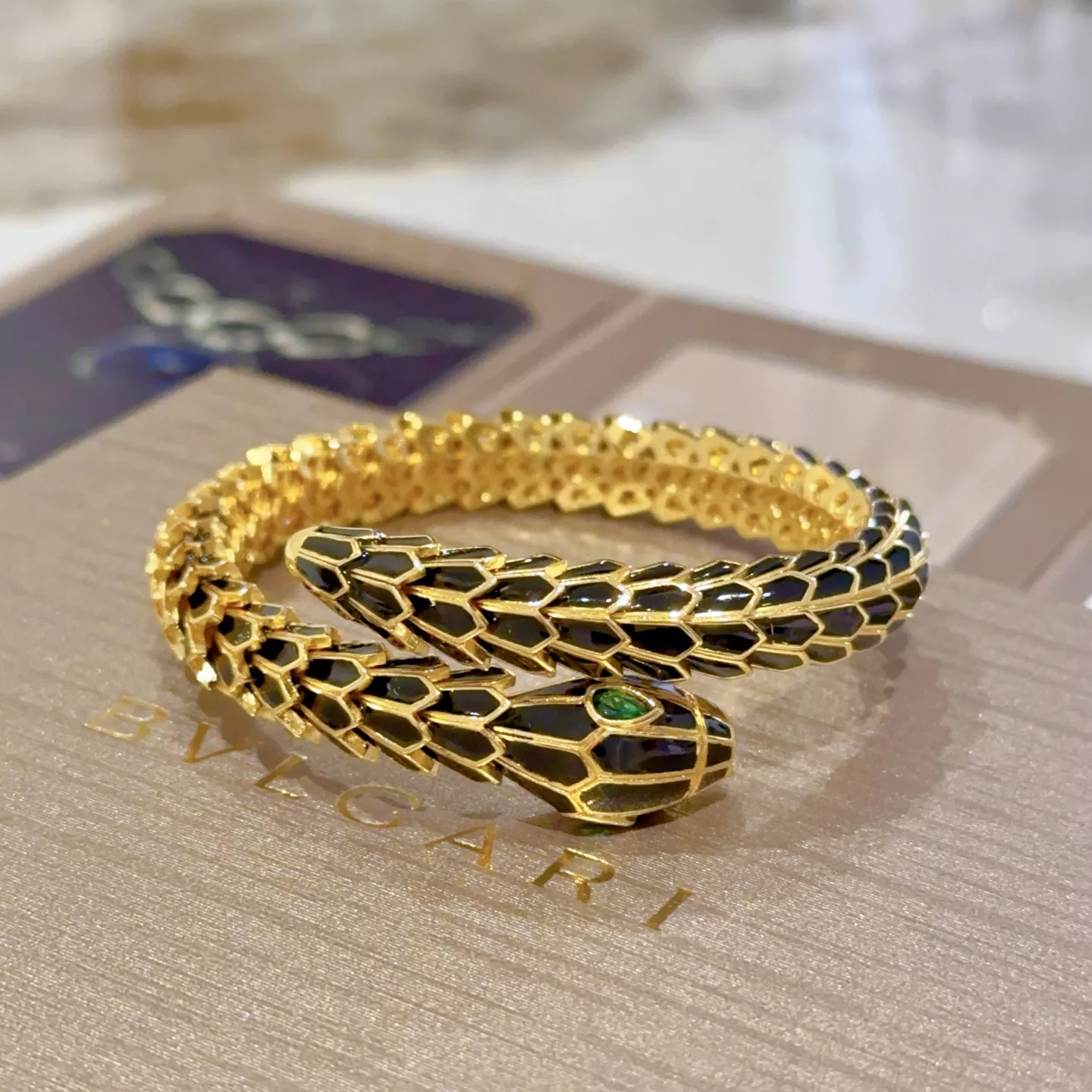Bvlgari Bracelets Resilient 7604