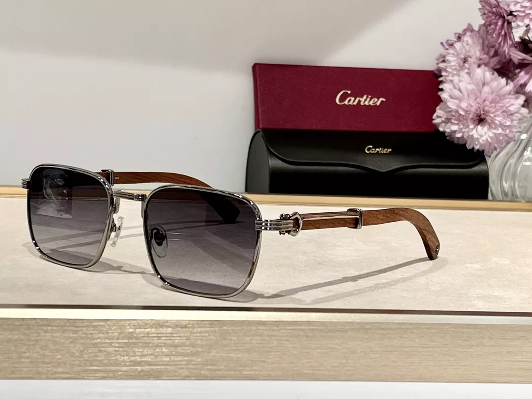 Cartier AAA Quality Sunglassess Comfortable 6716