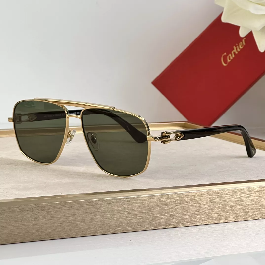 Cartier AAA Quality Sunglassess Practical 1541