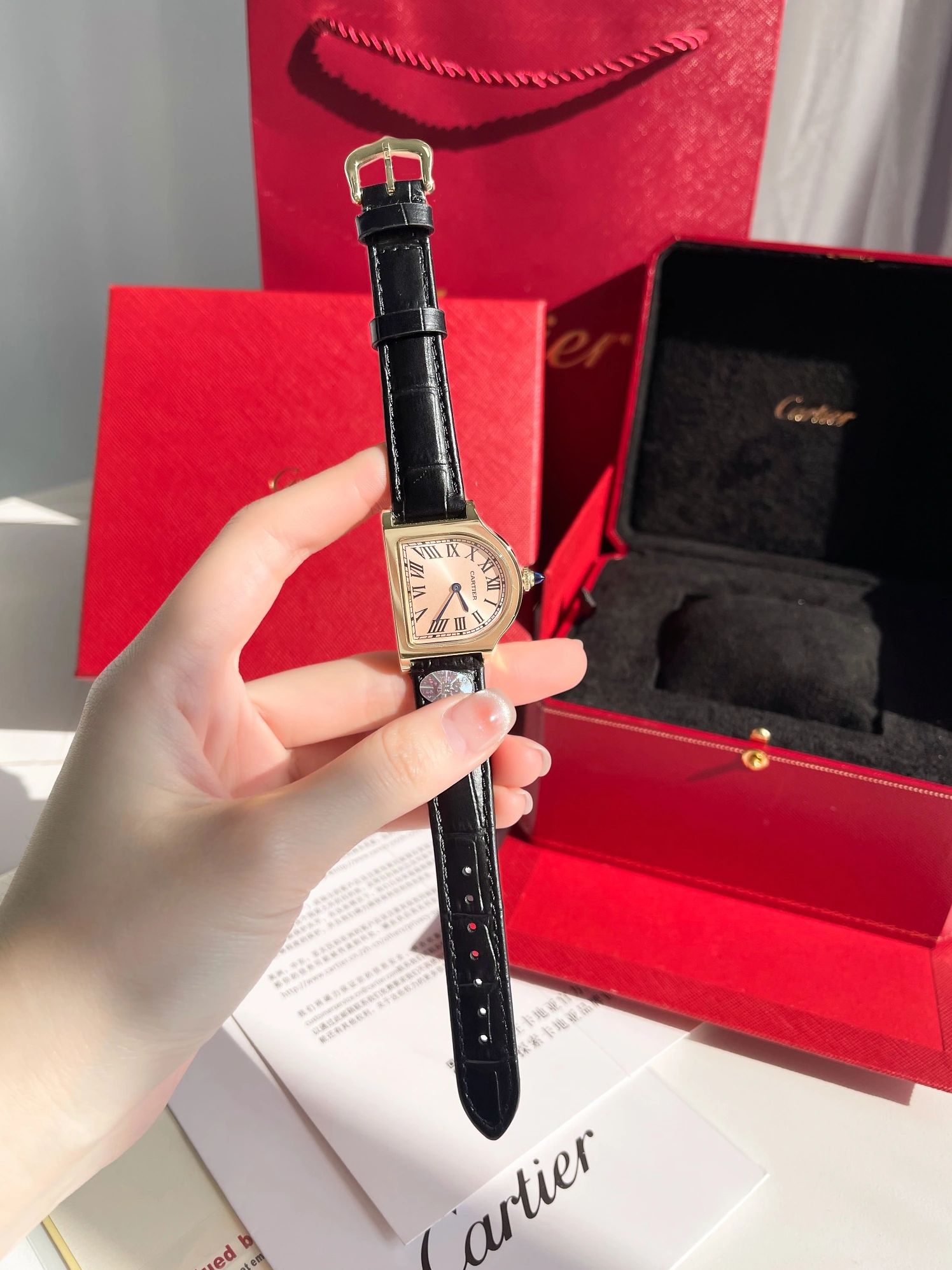 Cartier AAA Quality Watches BestValue 6317