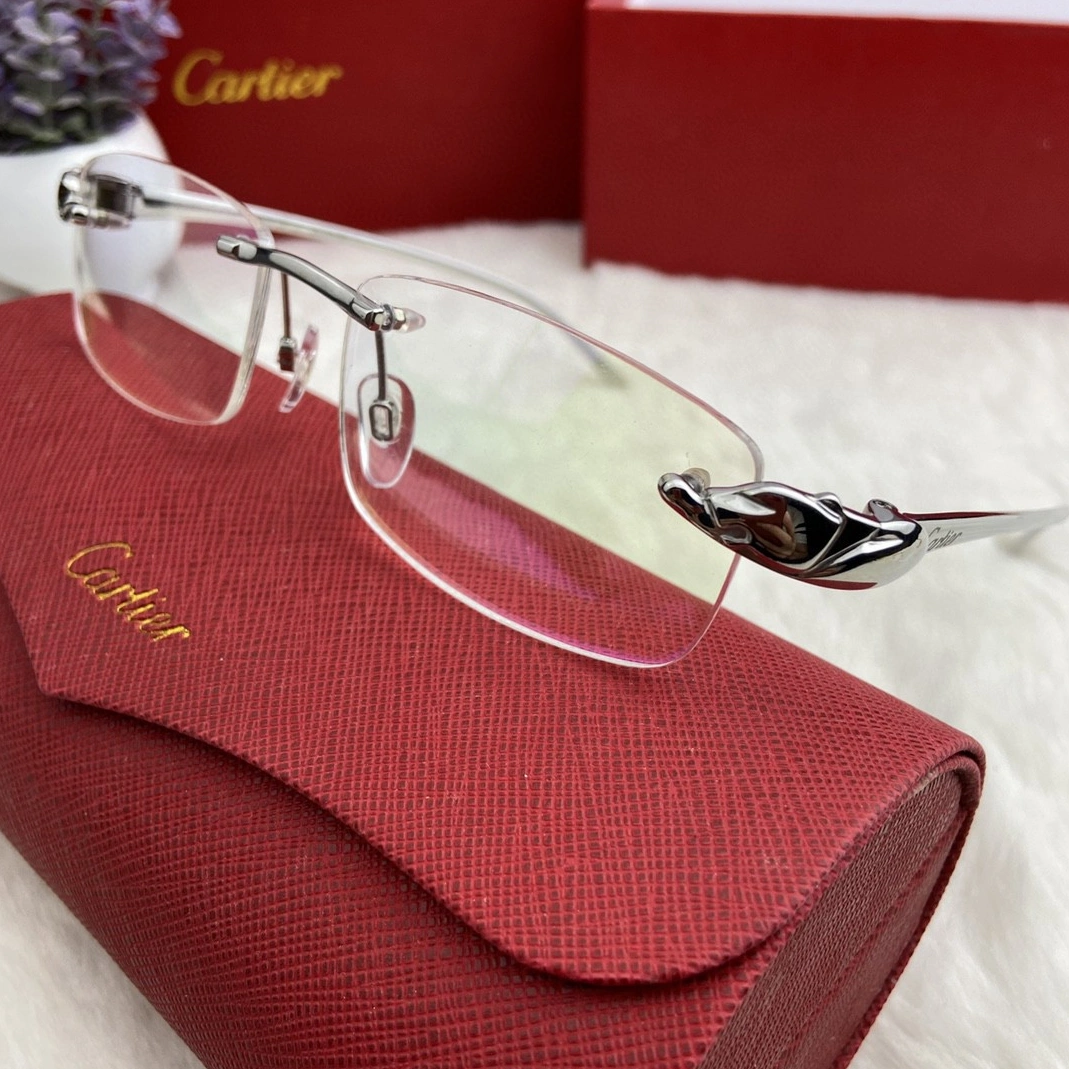 Cartier Goggles AllSeason 6558