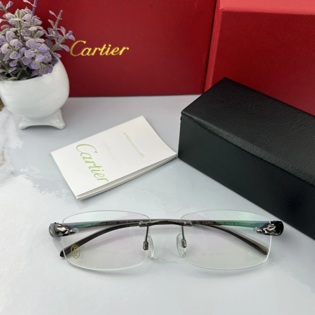 Cartier Goggles Bright 4794