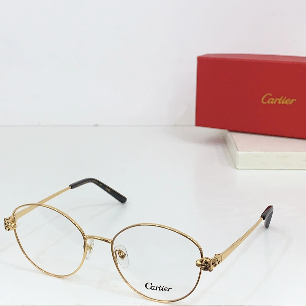Cartier Goggles Vibrant 8732
