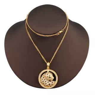 Cartier Necklaces StreetReady 521