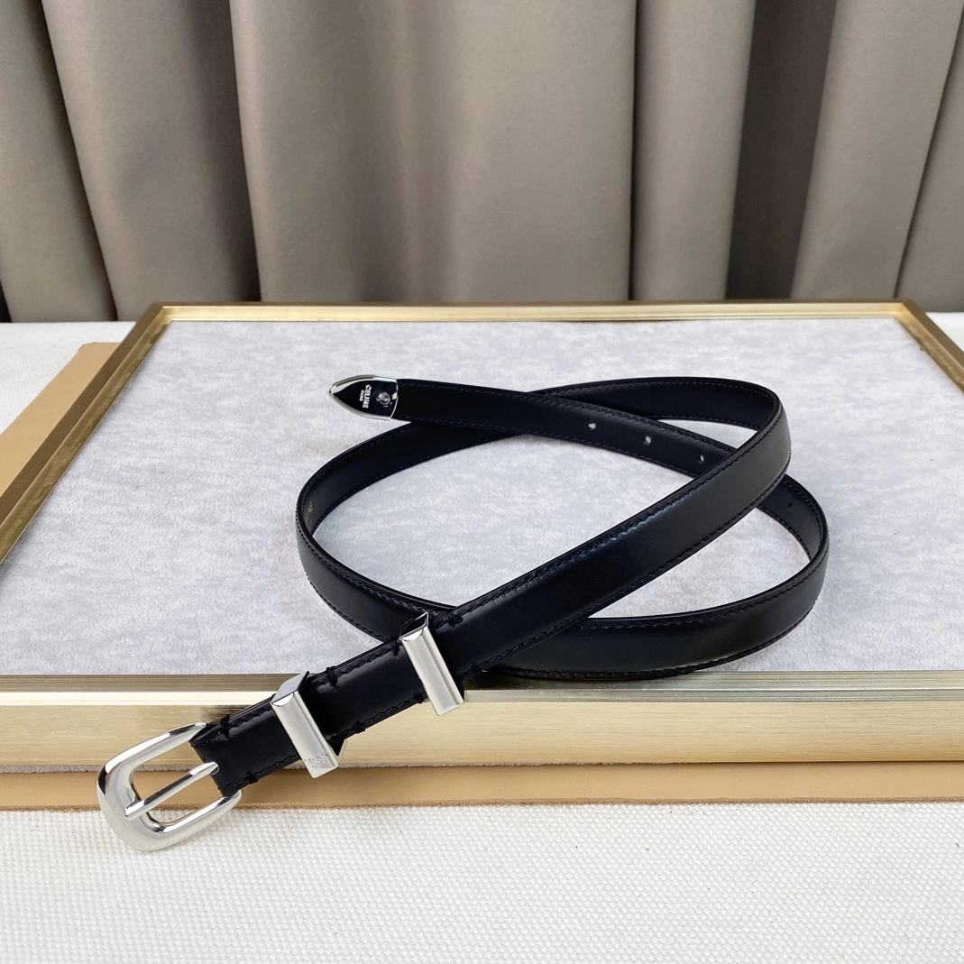 Celine AAA Quality Belts For Women WellDesigned 1089