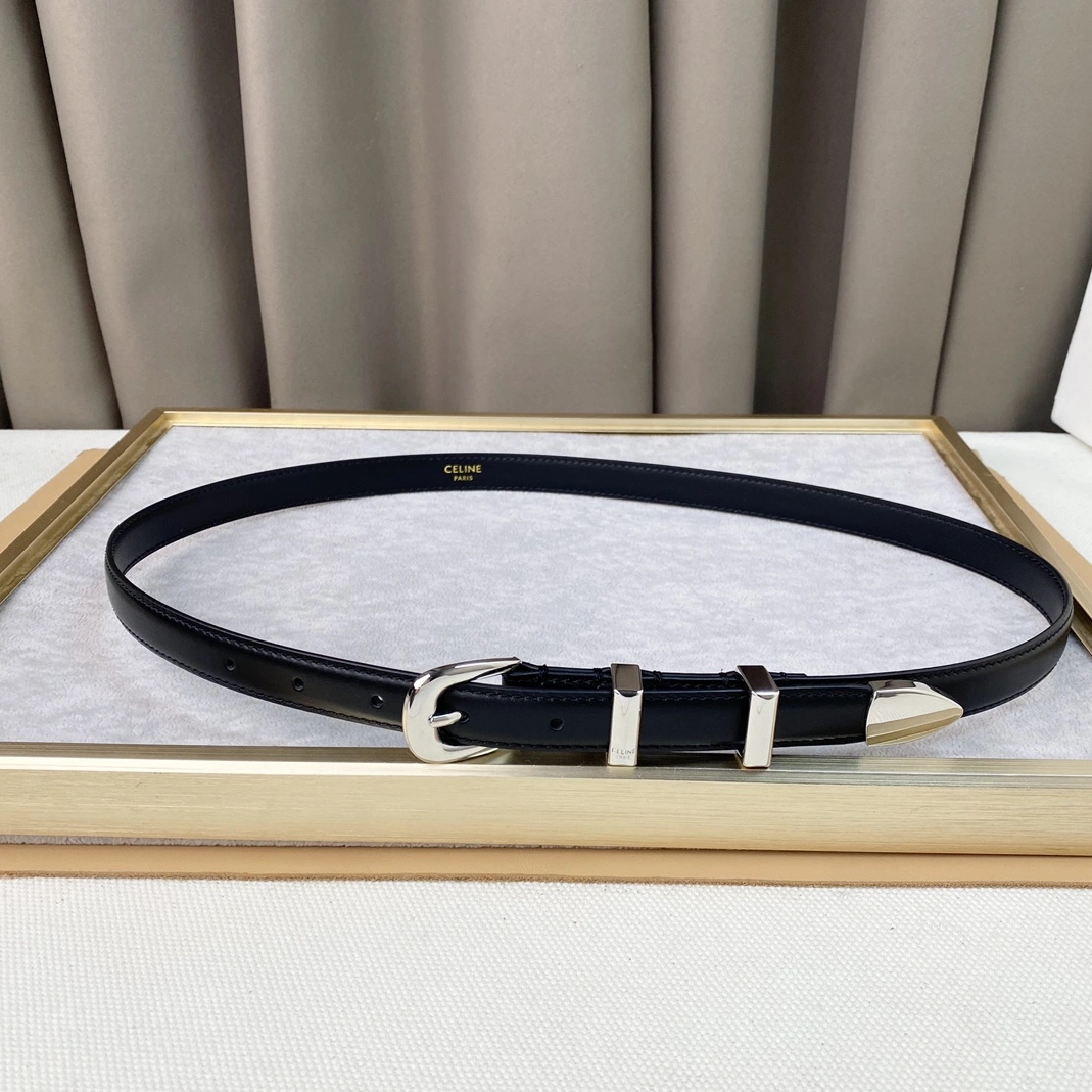 Celine AAA Quality Belts For Women WellDesigned 1089
