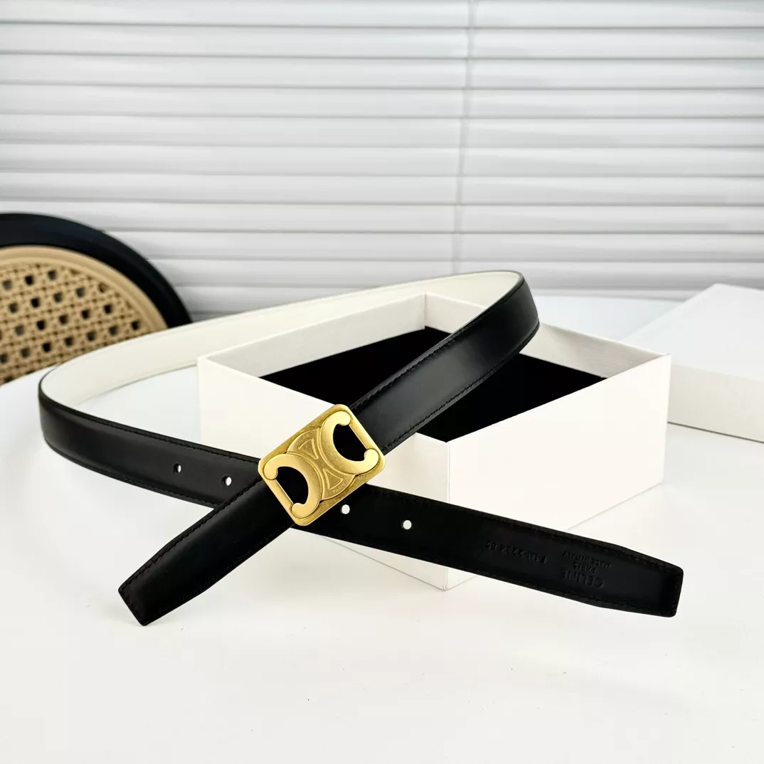 Celine AAA Quality Belts In 2.5cm For Women Resilient 6106