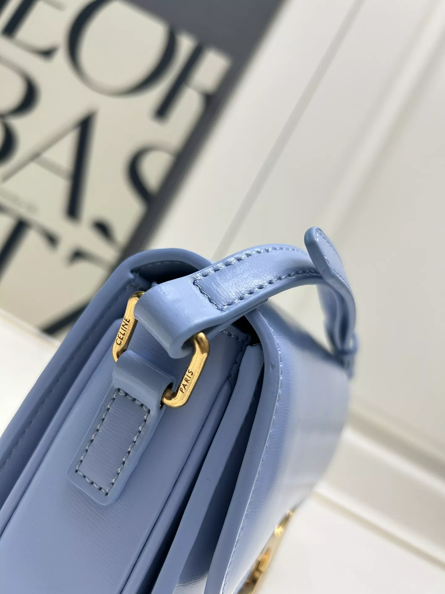 Celine AAA Quality Messenger Bags For Women DailyWear 446