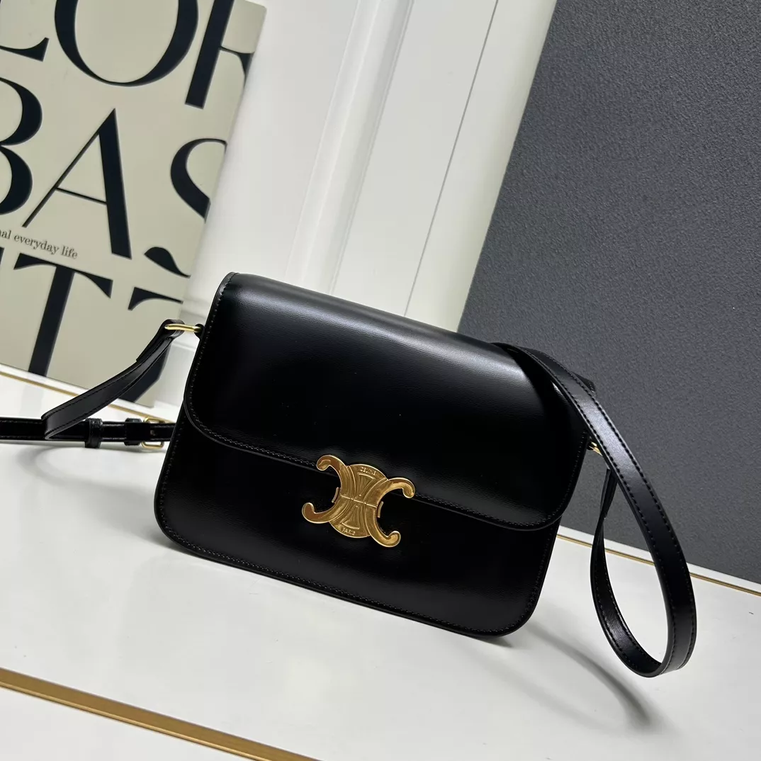 Celine AAA Quality Messenger Bags For Women DailyWear 4801
