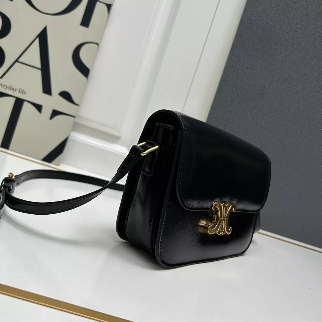 Celine AAA Quality Messenger Bags For Women DailyWear 4801