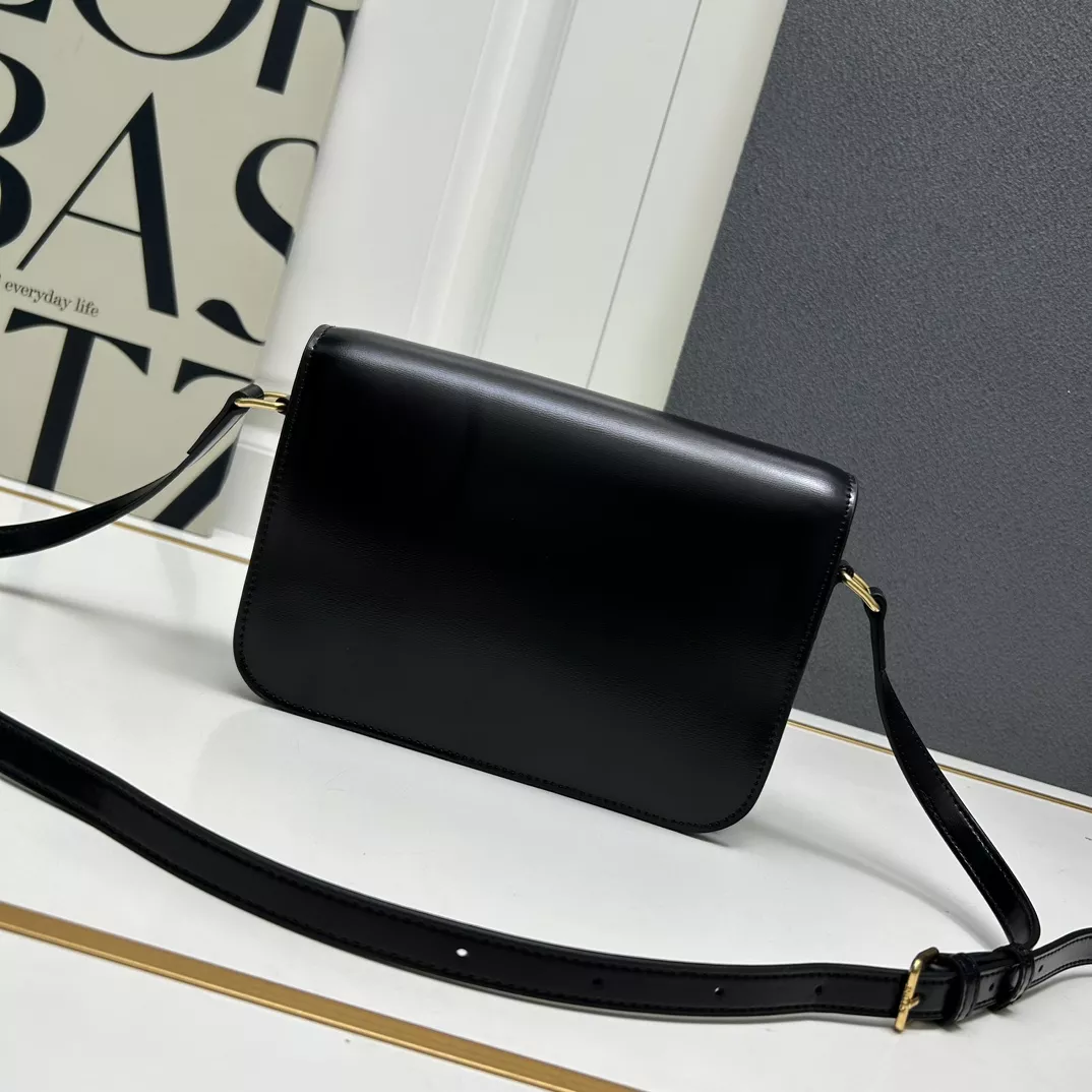 Celine AAA Quality Messenger Bags For Women DailyWear 4801