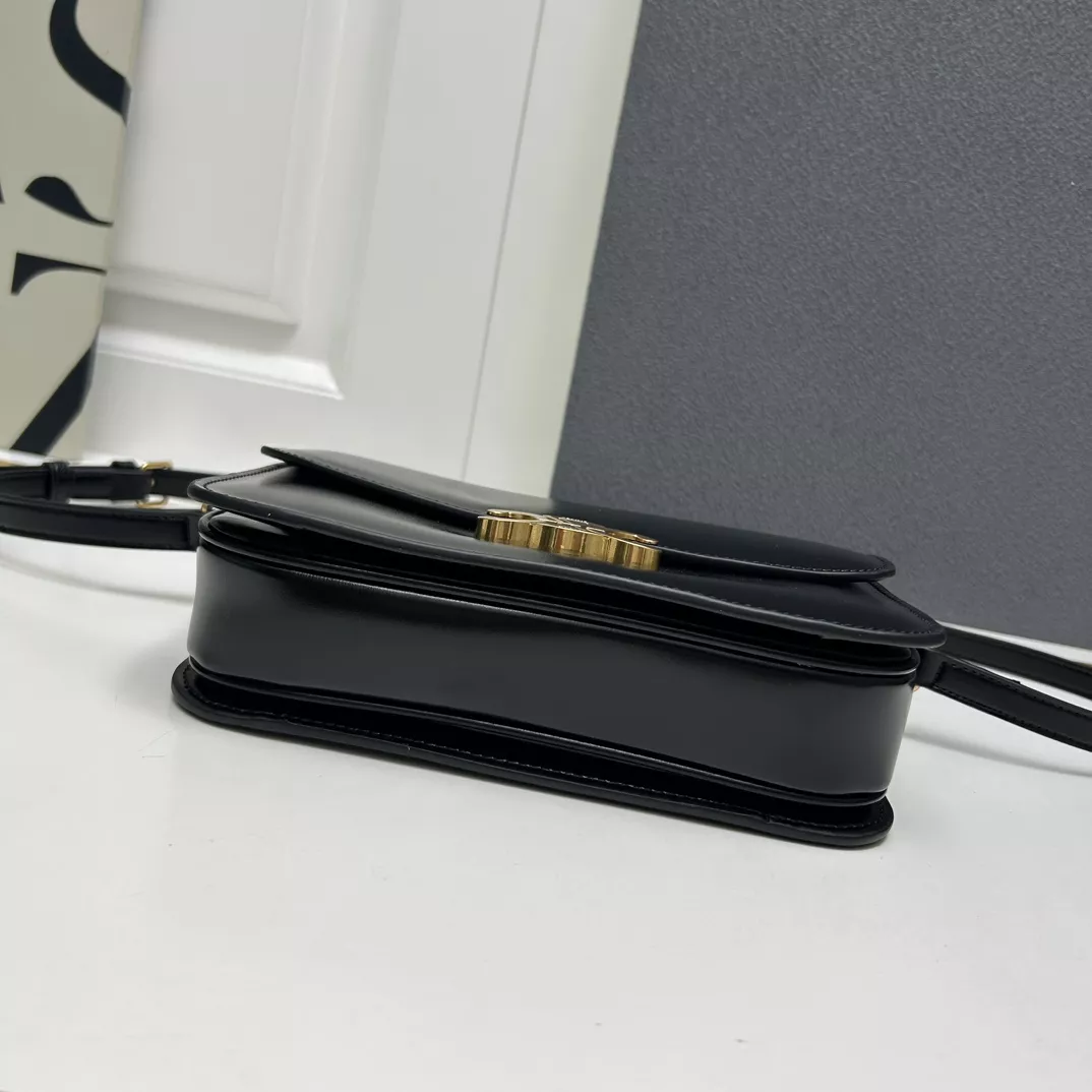 Celine AAA Quality Messenger Bags For Women DailyWear 4801