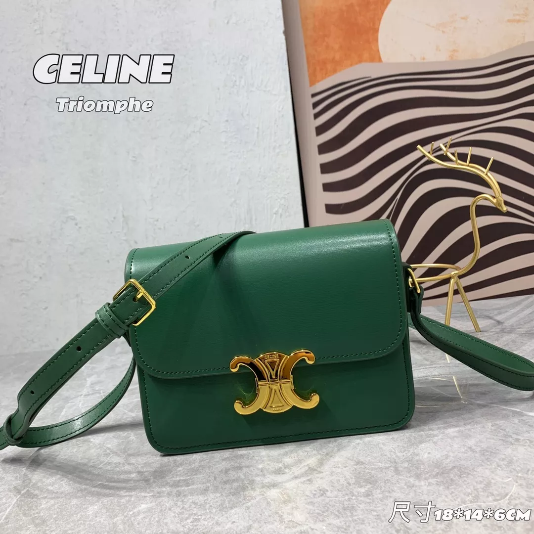 Celine AAA Quality Messenger Bags For Women GoAnywhere 9861