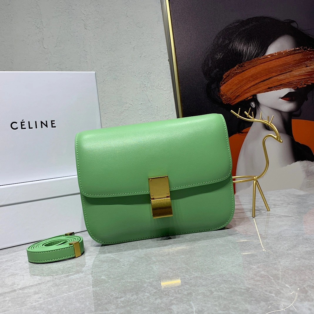 Celine AAA Quality Messenger Bags For Women Stylish 2848