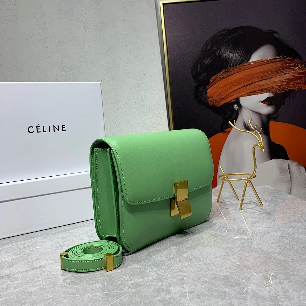 Celine AAA Quality Messenger Bags For Women Stylish 2848