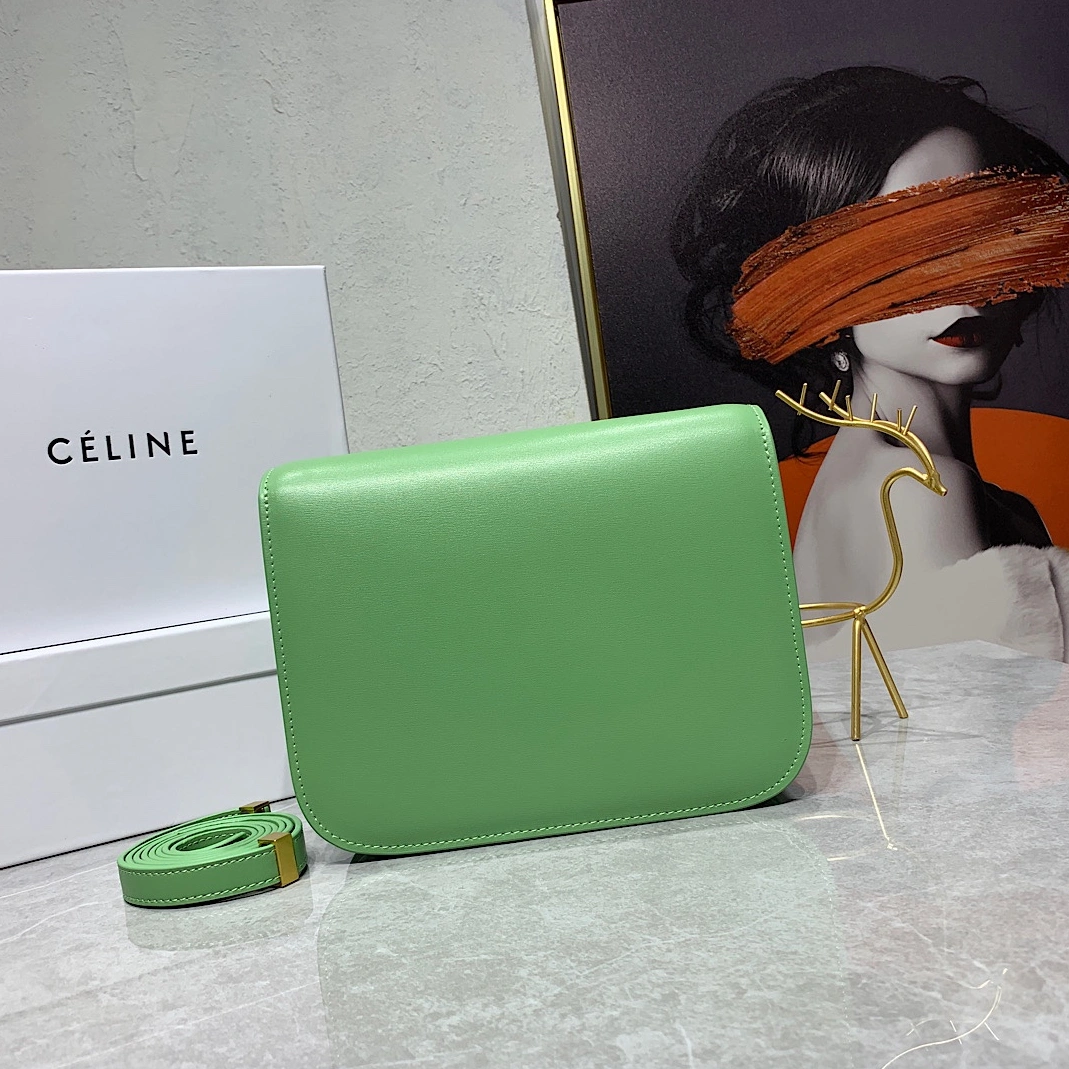 Celine AAA Quality Messenger Bags For Women Stylish 2848