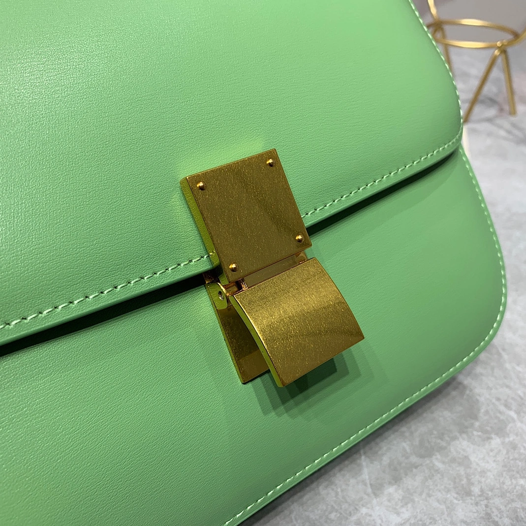 Celine AAA Quality Messenger Bags For Women Stylish 2848