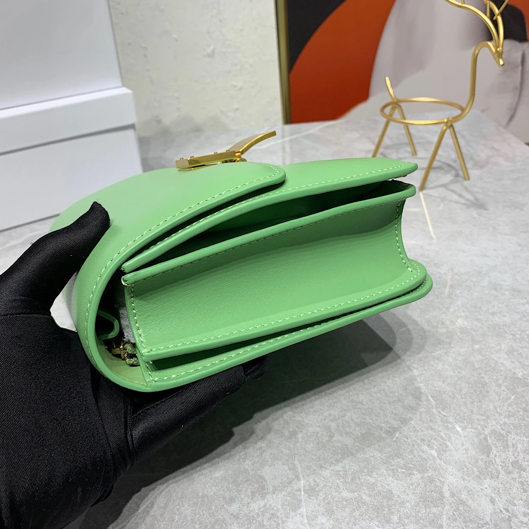 Celine AAA Quality Messenger Bags For Women Stylish 2848