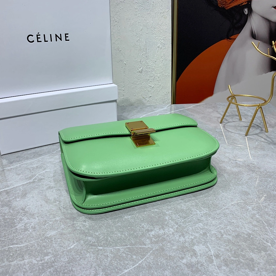 Celine AAA Quality Messenger Bags For Women Stylish 2848