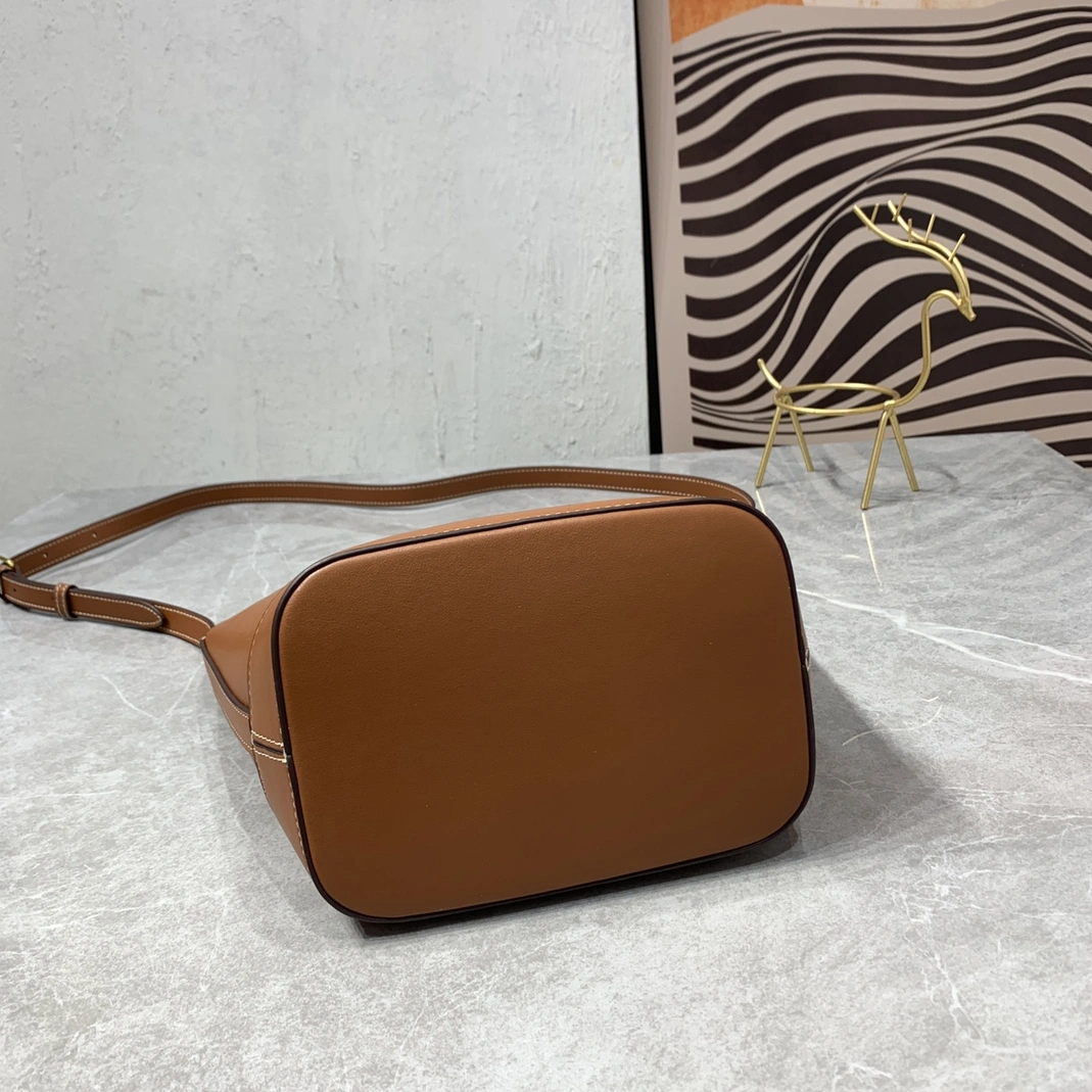 Celine AAA Quality Messenger Bags For Women Trendy 8856