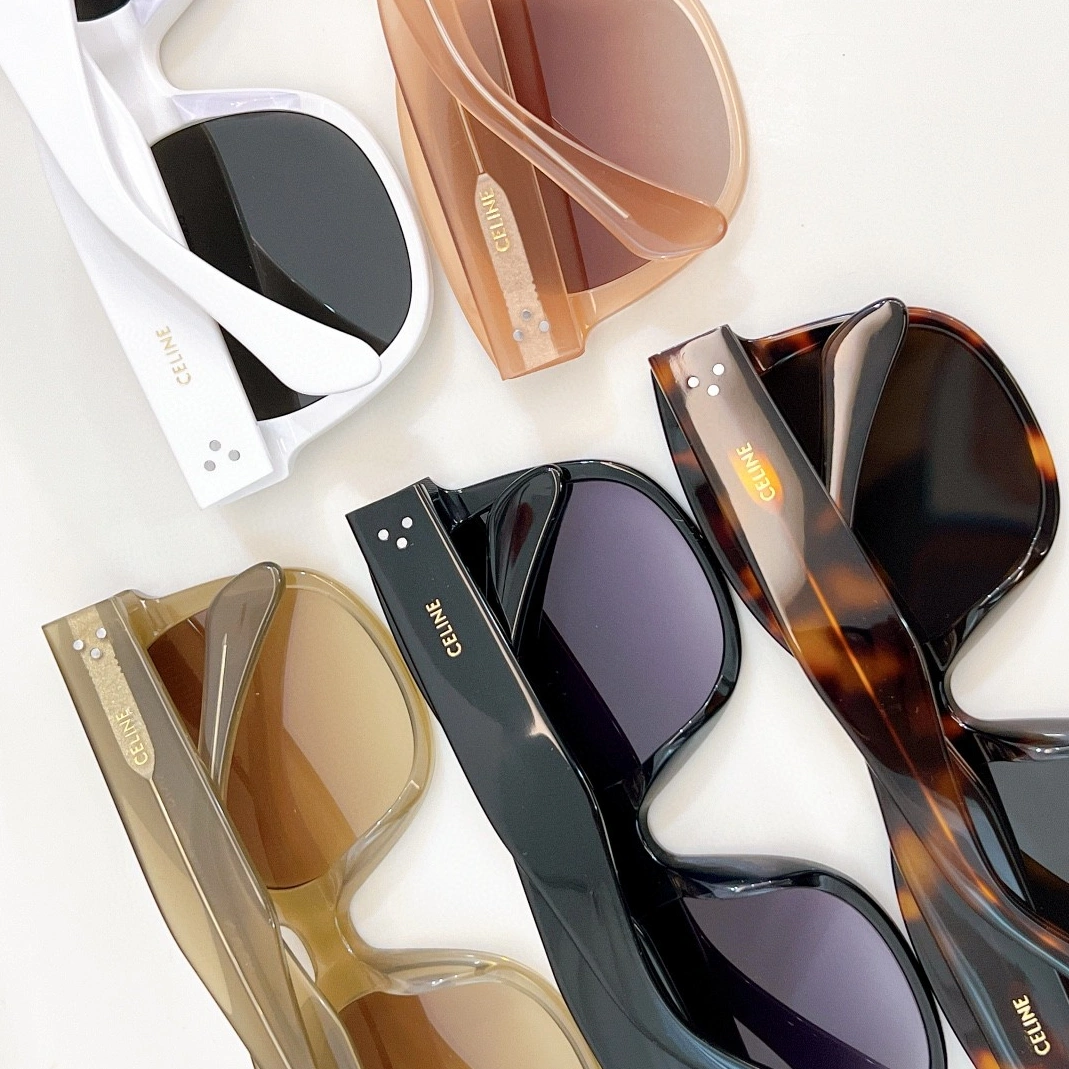 Celine AAA Quality Sunglasses Versatile 2581