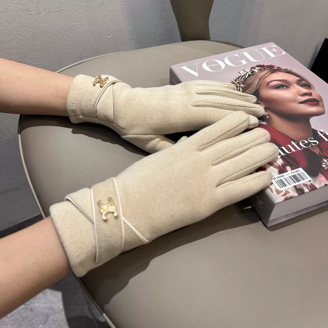 Celine Gloves DailyWear 2078