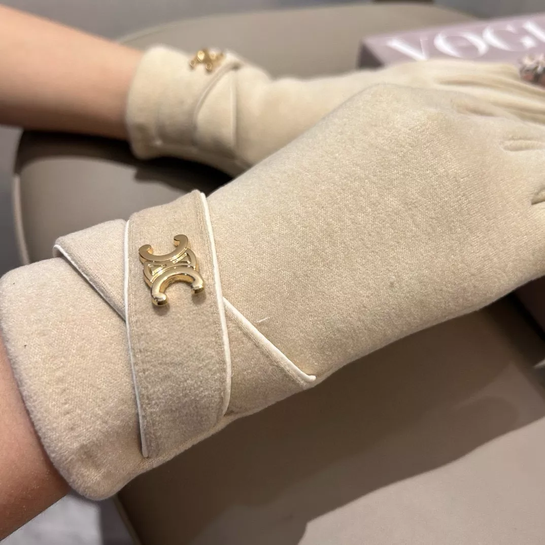 Celine Gloves DailyWear 2078