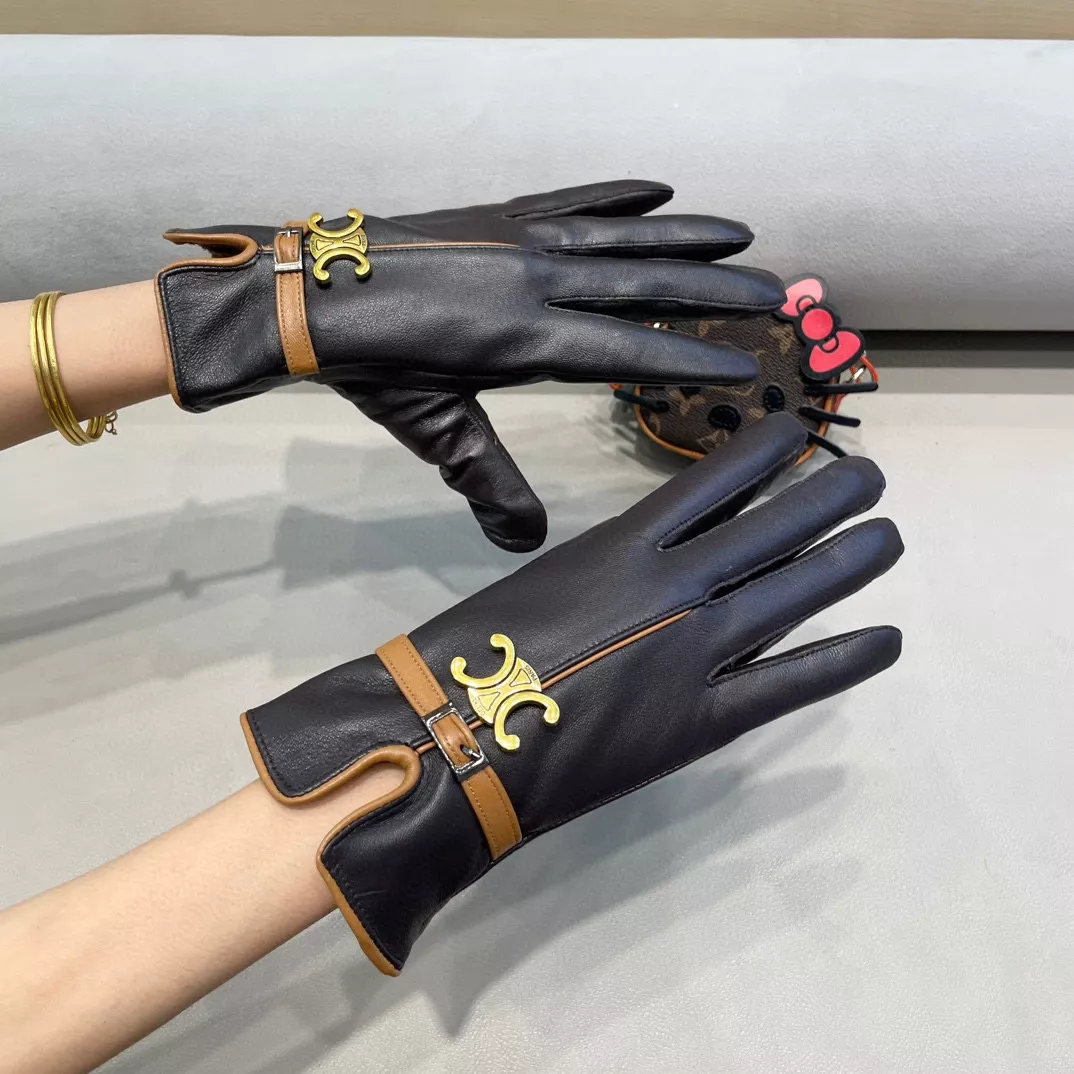 Celine Gloves For Women EyeCatching 6456