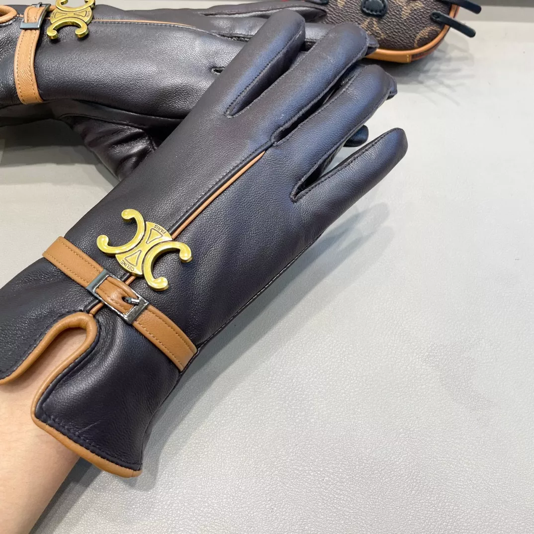 Celine Gloves For Women EyeCatching 6456