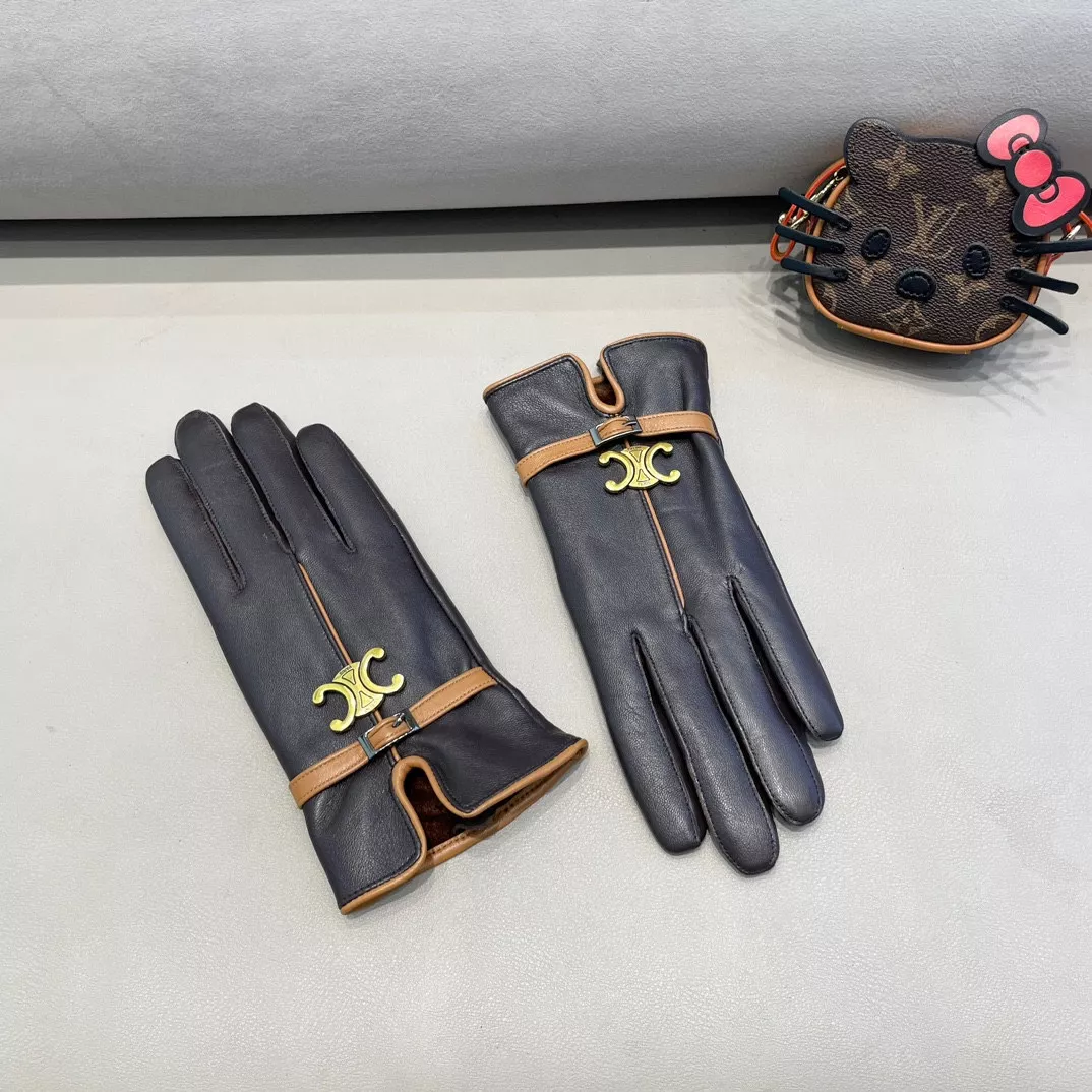 Celine Gloves For Women EyeCatching 6456
