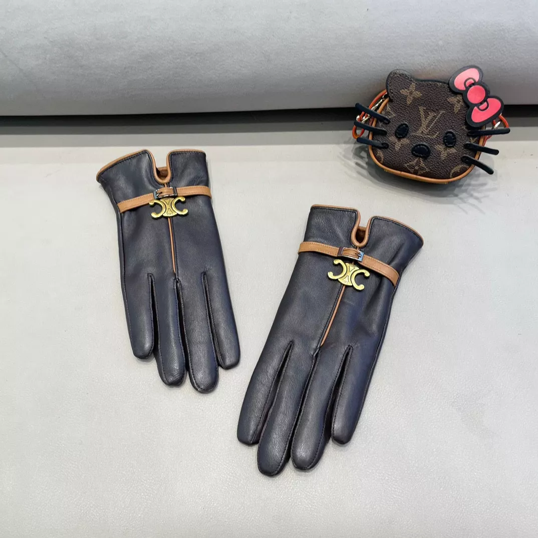 Celine Gloves For Women EyeCatching 6456