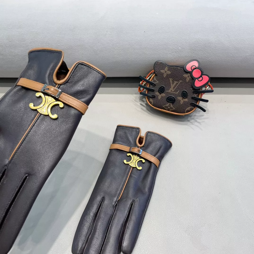 Celine Gloves For Women EyeCatching 6456