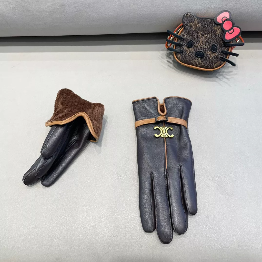Celine Gloves For Women EyeCatching 6456