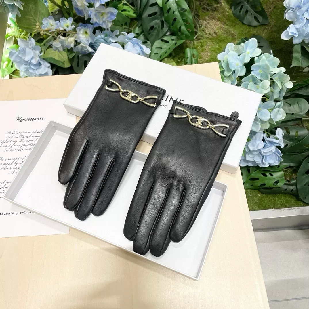 Celine Gloves For Women Functional 5251
