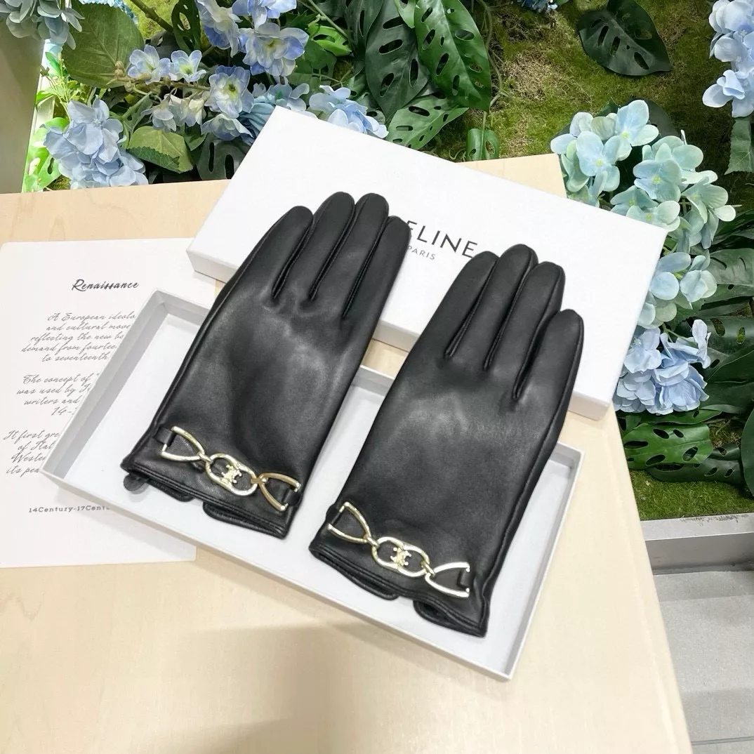 Celine Gloves For Women Functional 5251