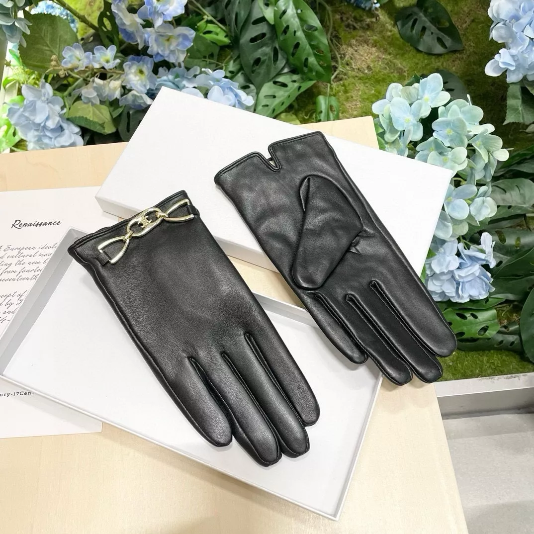 Celine Gloves For Women Functional 5251