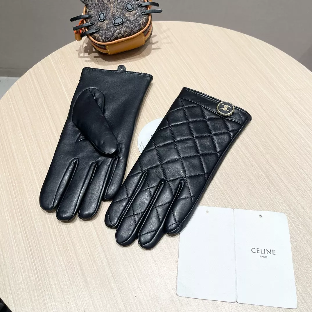 Celine Gloves For Women Minimalist 4665
