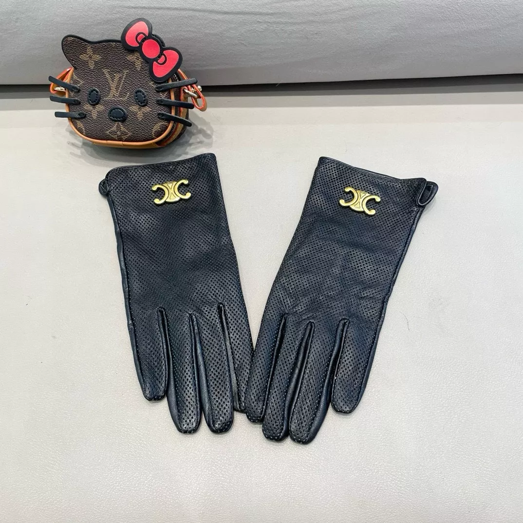 Celine Gloves For Women Versatile 4271