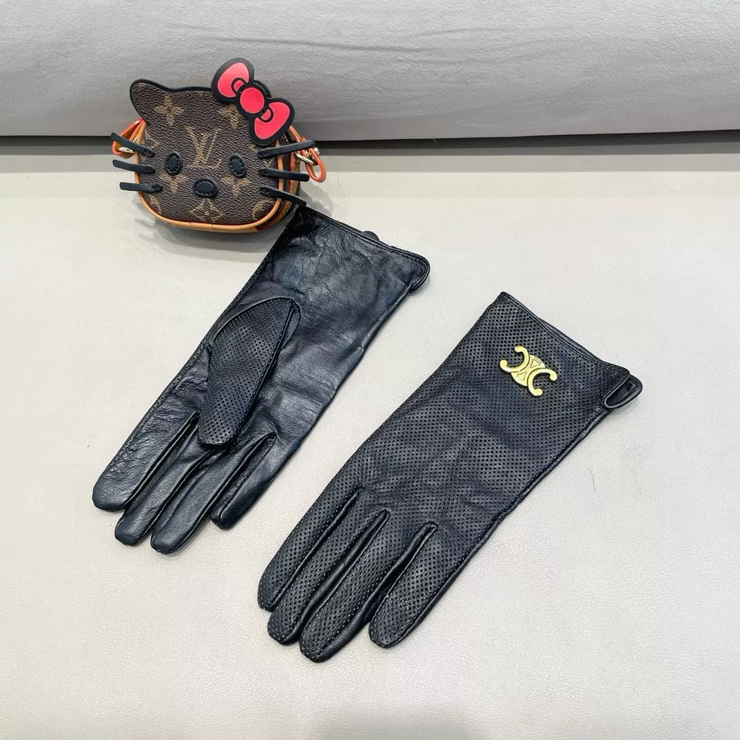 Celine Gloves For Women Versatile 4271