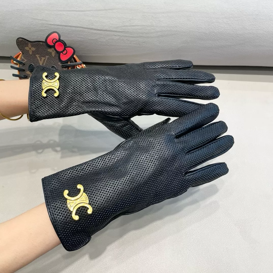 Celine Gloves For Women Versatile 4271