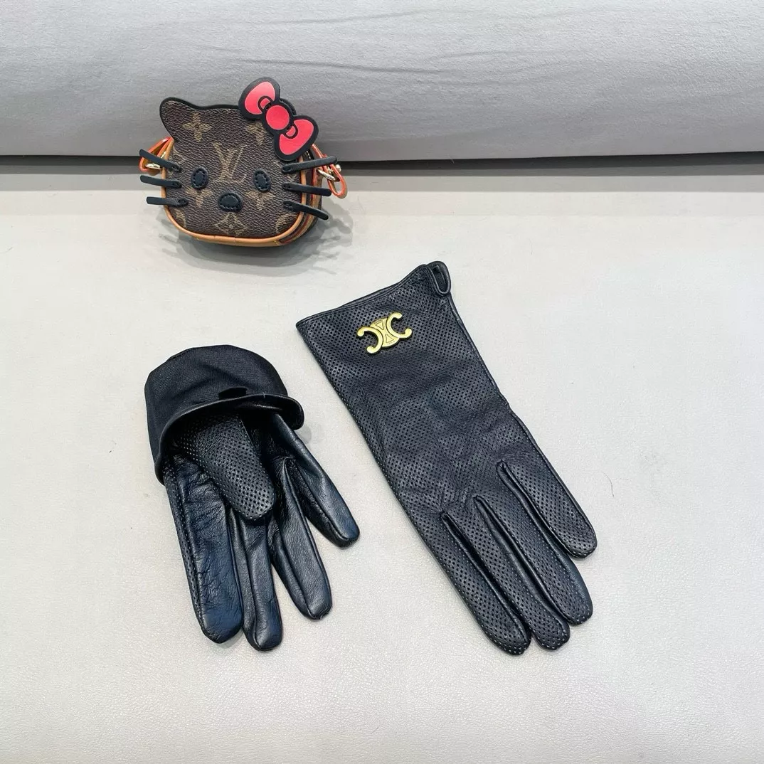 Celine Gloves For Women Versatile 4271