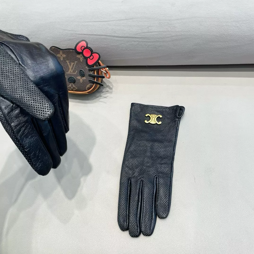 Celine Gloves For Women Versatile 4271