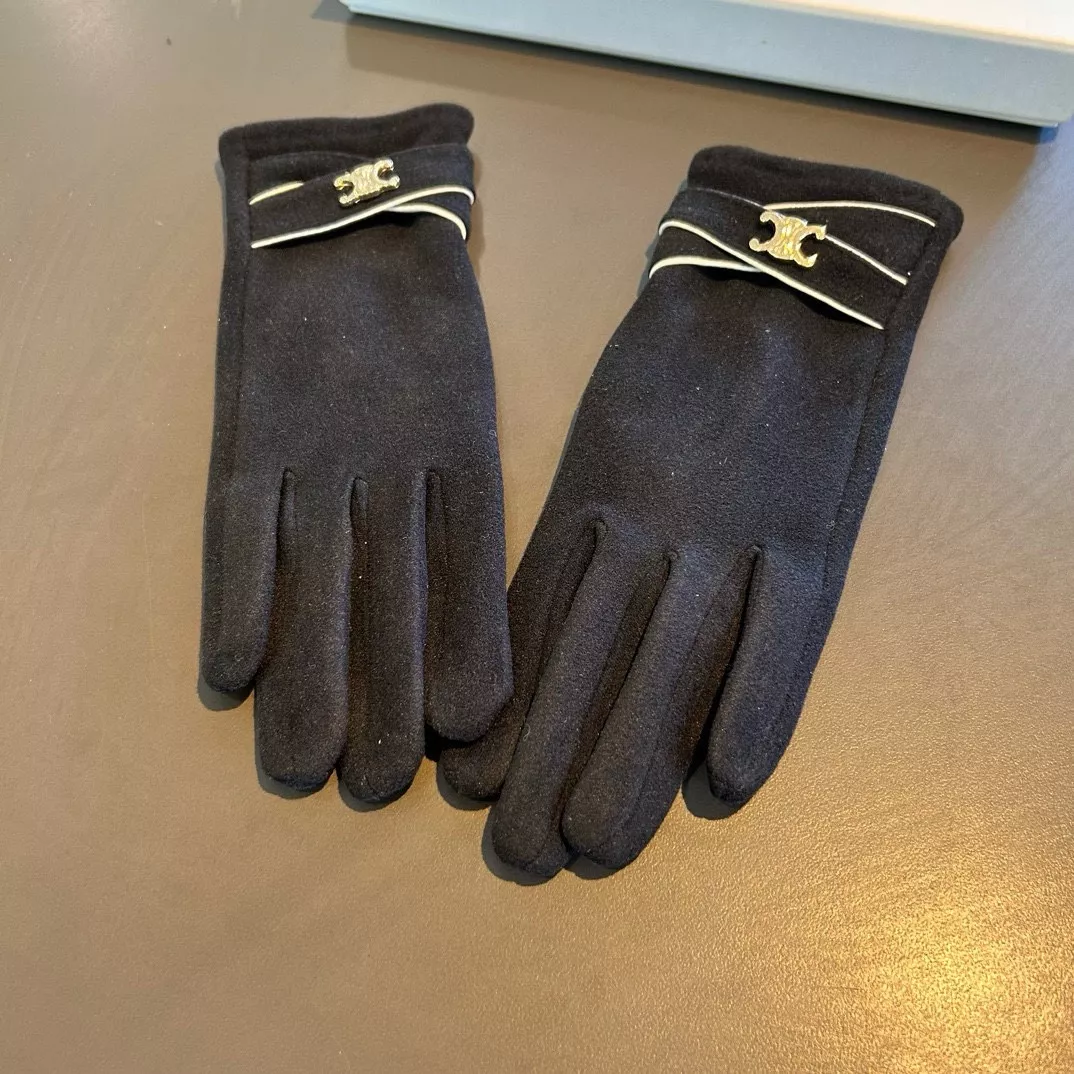 Celine Gloves Sleek 2587