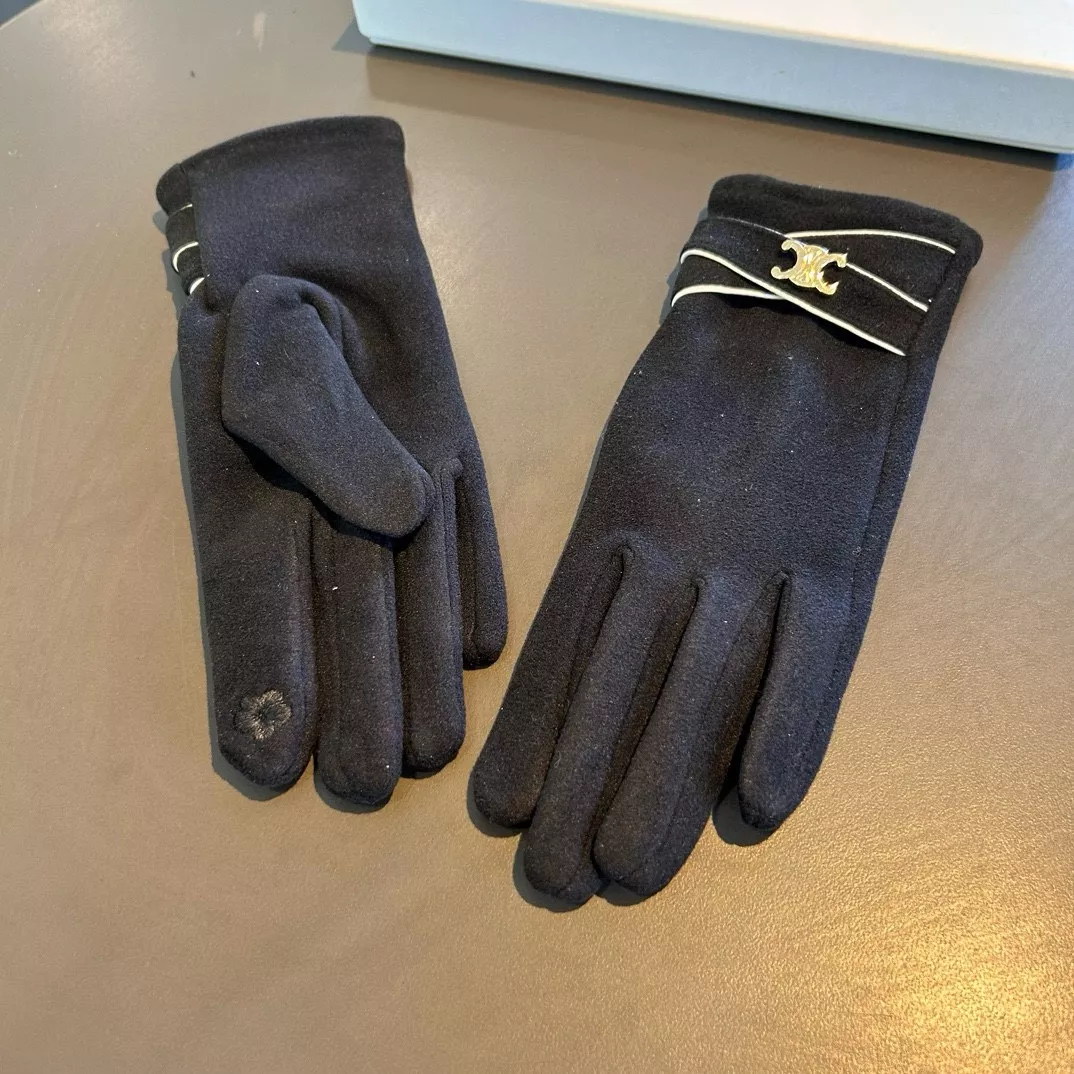 Celine Gloves Sleek 2587